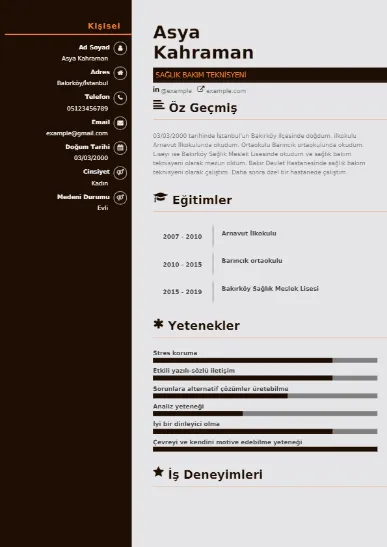 Sağlık Bakım Teknisyeni örnek cv indir